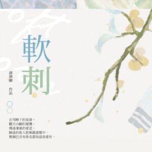 【現貨/赠加固包装】軟刺 | 软刺 | 通販版 | 唐酒卿 | 墨扉 | 原耽 | 无删减 | BL