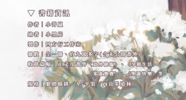 【现货/赠加固包装】落日眷冬 | 小箐岚 | 特签版 | 横排 | 四方行 | 原耽 | 无删减 | BL