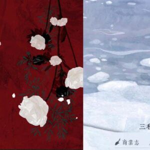 【现货/前x/赠加固包装】苍白爱情 |  冰下鱼 | 特签版 | 三秋泓 | 没谱 | 原耽 | 无删减 | BL