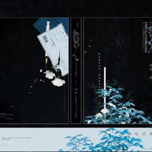 【預售/不需要補拍截圖/赠加固包装】雨生百谷 | 特签版 | 简体横排 | 关山 | 苏亭 | 原耽 | 无删减 | 不可合并其他品项书籍下单